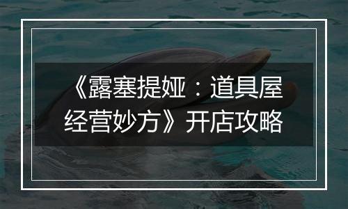 《露塞提娅：道具屋经营妙方》开店攻略