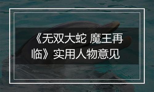 《无双大蛇 魔王再临》实用人物意见