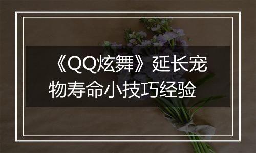 《QQ炫舞》延长宠物寿命小技巧经验