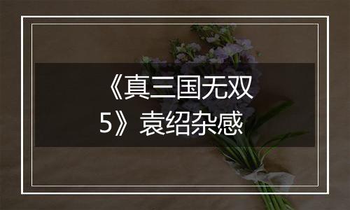 《真三国无双5》袁绍杂感