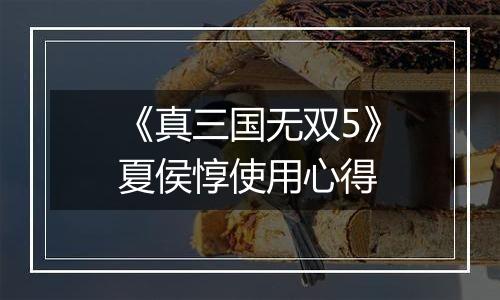 《真三国无双5》夏侯惇使用心得