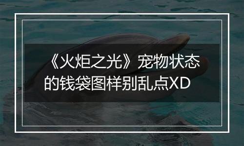 《火炬之光》宠物状态的钱袋图样别乱点XD