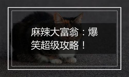 麻辣大富翁：爆笑超级攻略！