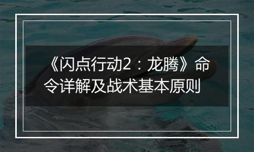 《闪点行动2：龙腾》命令详解及战术基本原则