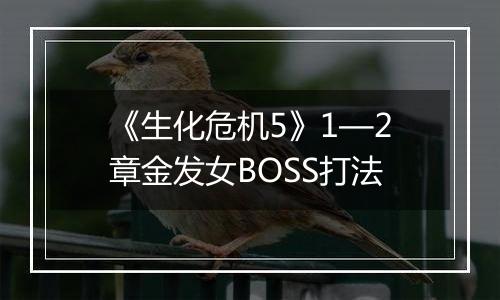 《生化危机5》1—2章金发女BOSS打法