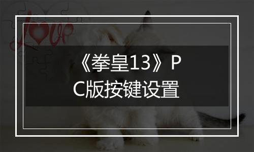《拳皇13》PC版按键设置