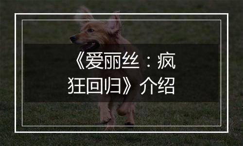 《爱丽丝：疯狂回归》介绍