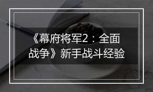 《幕府将军2：全面战争》新手战斗经验