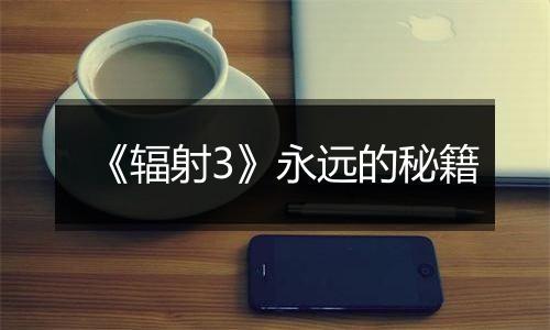 《辐射3》永远的秘籍
