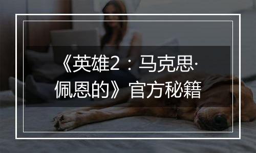 《英雄2：马克思·佩恩的》官方秘籍