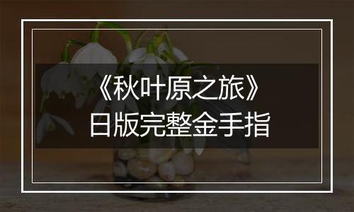 《秋叶原之旅》日版完整金手指