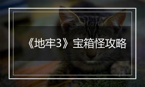 《地牢3》宝箱怪攻略