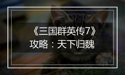 《三国群英传7》攻略：天下归魏