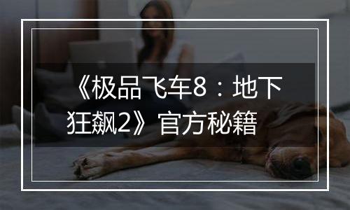 《极品飞车8：地下狂飙2》官方秘籍