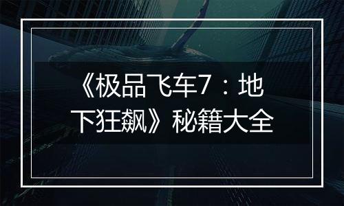 《极品飞车7：地下狂飙》秘籍大全