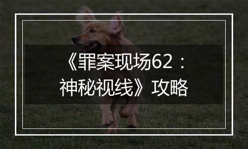《罪案现场62：神秘视线》攻略