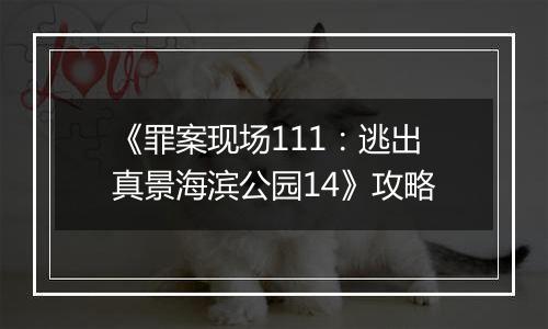 《罪案现场111：逃出真景海滨公园14》攻略