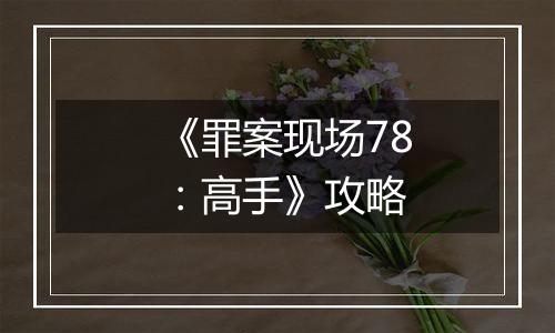《罪案现场78：高手》攻略