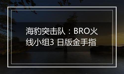 海豹突击队：BRO火线小组3 日版金手指