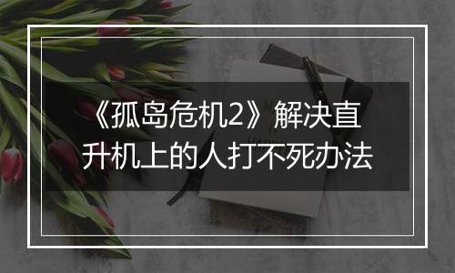 《孤岛危机2》解决直升机上的人打不死办法