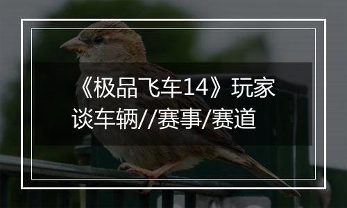 《极品飞车14》玩家谈车辆//赛事/赛道