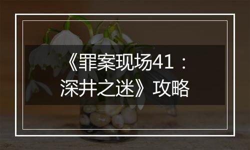 《罪案现场41：深井之迷》攻略
