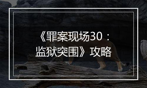 《罪案现场30：监狱突围》攻略