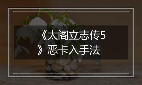 《太阁立志传5》恶卡入手法