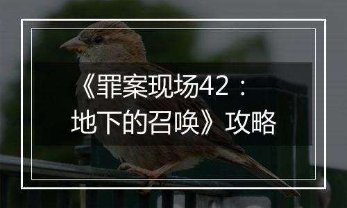 《罪案现场42：地下的召唤》攻略
