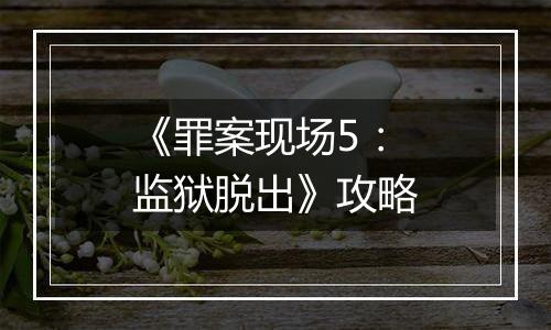《罪案现场5：监狱脱出》攻略