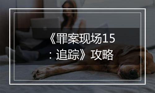 《罪案现场15：追踪》攻略
