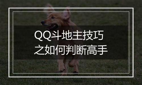 QQ斗地主技巧之如何判断高手