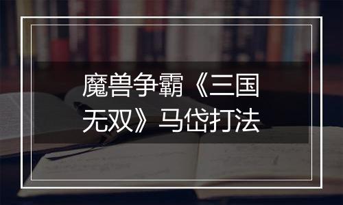 魔兽争霸《三国无双》马岱打法