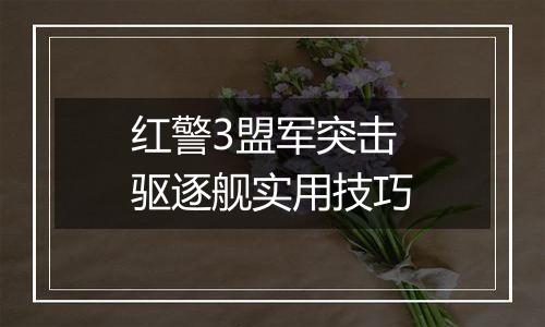 红警3盟军突击驱逐舰实用技巧