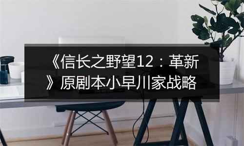 《信长之野望12：革新》原剧本小早川家战略