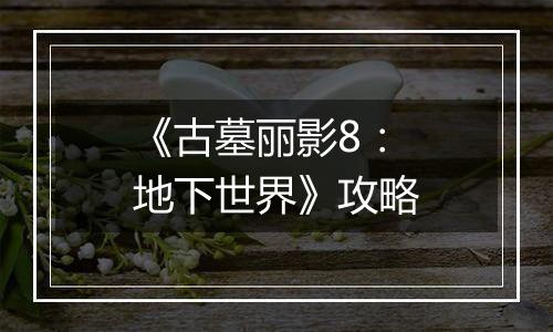 《古墓丽影8：地下世界》攻略