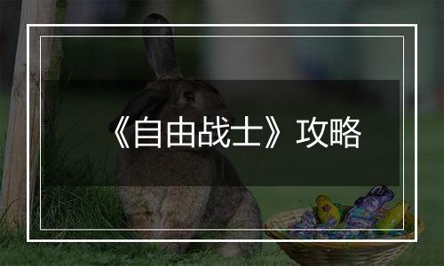 《自由战士》攻略