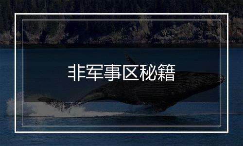 非军事区秘籍