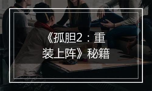 《孤胆2：重装上阵》秘籍