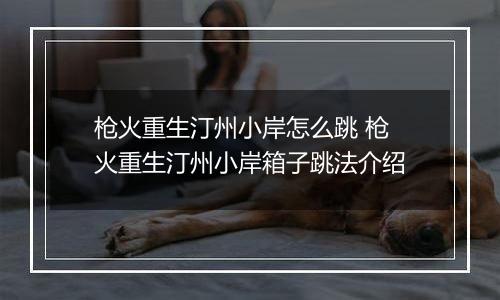 枪火重生汀州小岸怎么跳 枪火重生汀州小岸箱子跳法介绍