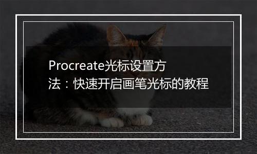 Procreate光标设置方法：快速开启画笔光标的教程