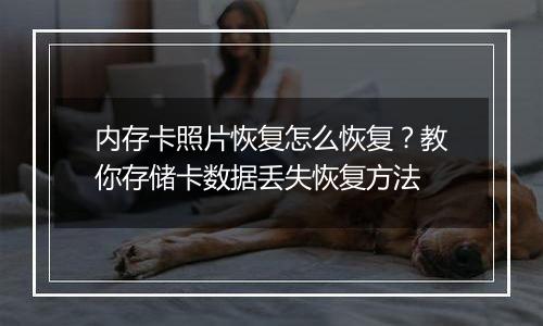 内存卡照片恢复怎么恢复?教你存储卡数据丢失恢复方法