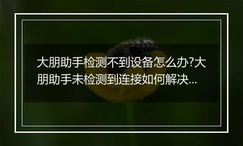 大朋助手检测不到设备怎么办?大朋助手未检测到连接如何解决?