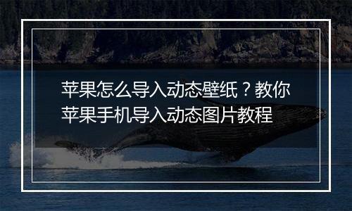苹果怎么导入动态壁纸？教你苹果手机导入动态图片教程
