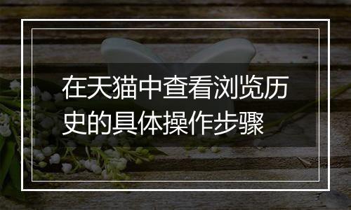 在天猫中查看浏览历史的具体操作步骤