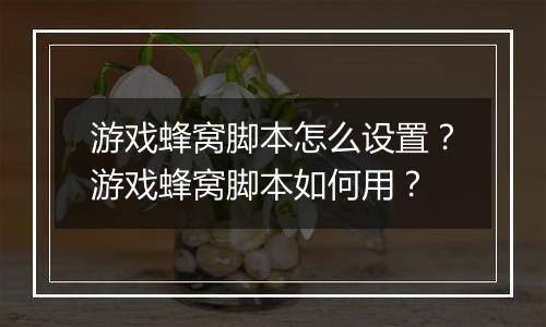 游戏蜂窝脚本怎么设置？游戏蜂窝脚本如何用？