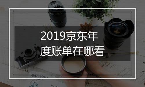 2019京东年度账单在哪看