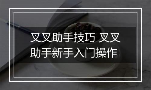 叉叉助手技巧 叉叉助手新手入门操作