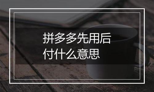 拼多多先用后付什么意思