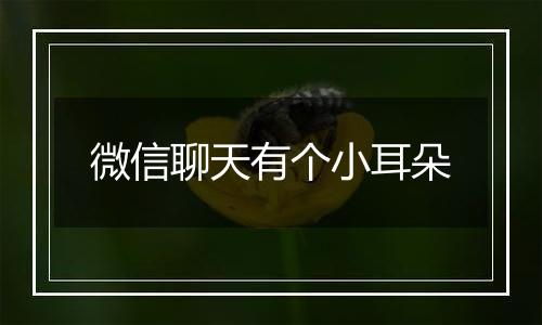 微信聊天有个小耳朵